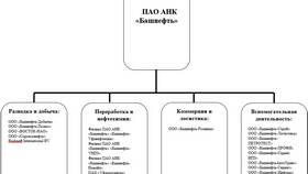 Башнефть или Лукойл: что лучше для инвестора и потребителя в Планета Здоровья