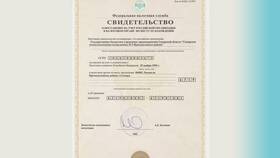 Что означает ИНН, начинающийся на 9909 в Планета Здоровья