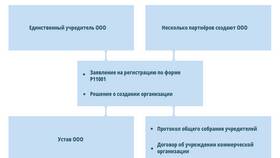 Как проверить действующее ООО в Планета Здоровья