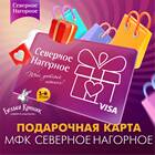 Как активировать подарочную карту DNS